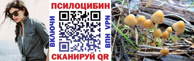 Купить Ступино Псилоцибиновые грибы MAGIC MUSHROOMS